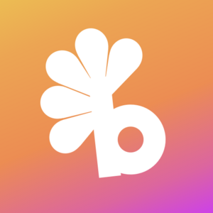 Bloyid Logo.png